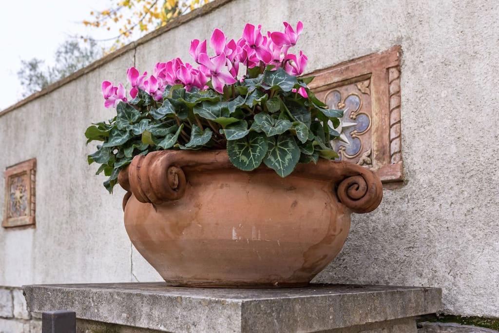 San Galigano Leilighet Perugia Eksteriør bilde